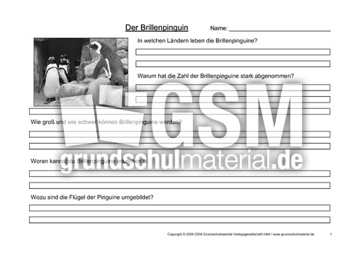 Brillenpinguin-Fragen-1.pdf